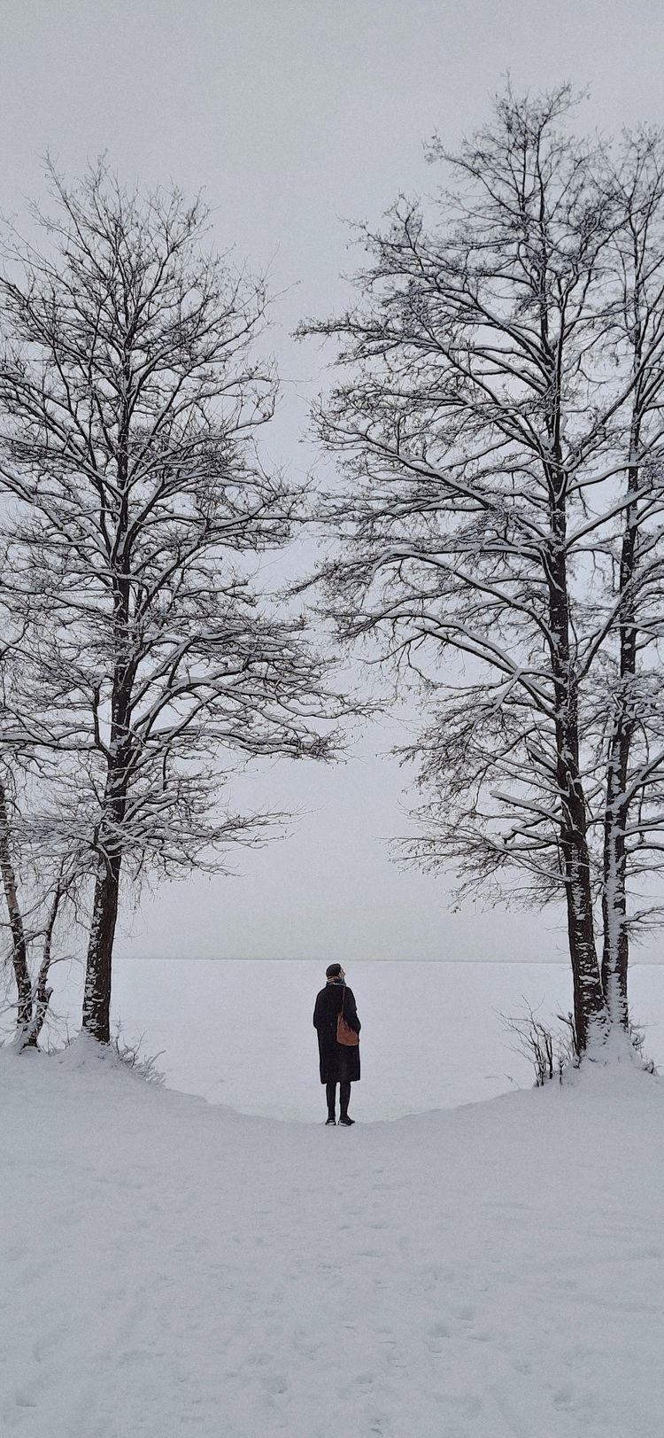 An Understanding of White Privilege